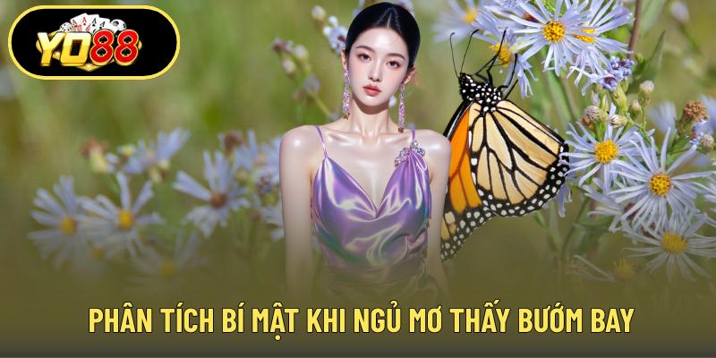 Phân tích bí mật khi ngủ mơ thấy bướm bay