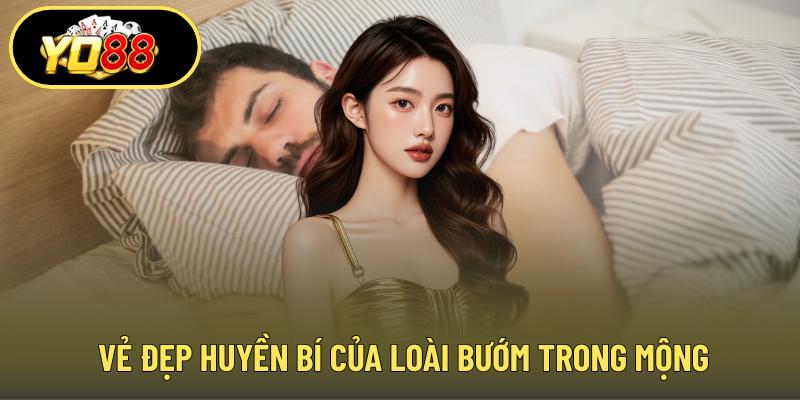 Vẻ đẹp huyền bí của loài bướm trong mộng